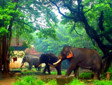 event planner in guruvayur